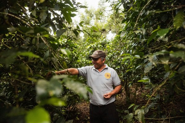 Quelles croisières incluent des visites de plantations de café en Colombie?